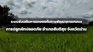 ระบบส่งเสริมการเกษตรกับการพัฒนาการเกษตร การปลูกผักปลอดภัย อำเภอสันติสุข จังหวัดน่าน