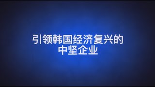 引领韩国经济复兴的中坚企业