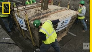 9/11 'Survivor Tree' Returns to Ground Zero | Short Film Showcase