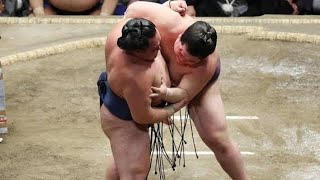 王鵬10日目で勝ち越し２敗キープ「いい相撲取れている」敗れた玉鷲は完敗認め「力で負けた」