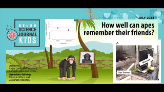 E128: How well can apes remember their friends? [SJK Audio Edition]