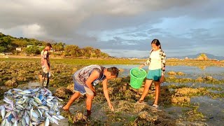 MALAKING HIBAS MGA ISDA SAPOL SA LAMBAT