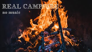 🔥Real Campfire Ambience with Night Animals-Owls &Crickets[No Music] Made for Relaxation& Sleep,Enjoy