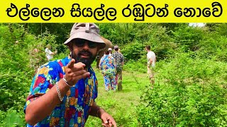 දිනෙන් දින අලුත් වචන ඔබ හමුවට #baale srilanka #travel #srilanka