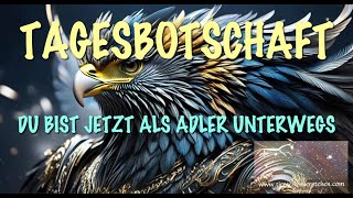 TAGESBOTSCHAFT: EIN ADLER MIT RÜSTUNG KOMMT HEUTE ZU DIR 🦅