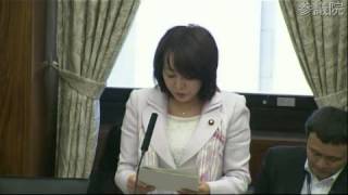 H25.10.30 参議院 消費者問題に関する特別委員会