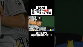 ㊗️140万再生！！【呆れ顔】野村監督の逆鱗に触れ干された選手たち #プロ野球 #野球 #野村克也 #ブチギレ #阪神タイガース