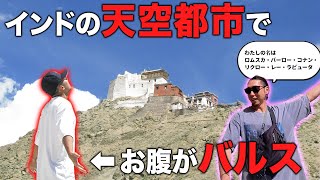 ラピュタは本当にあったんだ！【インド旅行Vlog #2】