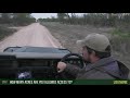 safarilive sunrise safari nov. 18 2017