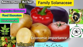 Family Solanaceae | Solanaceae family | plant families  | Potato family | Plant taxonomy