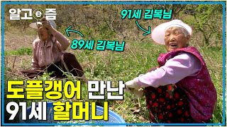 작은 시골 마을에 이름부터 취미까지 똑같은 할머니가 둘?! 정과 사랑이 넘치는 91세 할머니가 건강하게 사는 법┃장수가족 건강의 비밀┃알고e즘