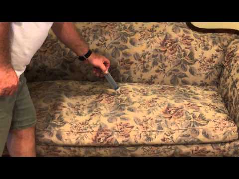How to remove dog and cat urine from couch How to remove dog and cat urine from couch