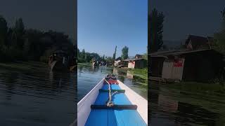 Shikara Ride Dal Lake, Kashmir #dallake #shikara #dallake #shorts