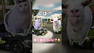 #カーパーキング あるある#猫ミーム #catmemes#shorts