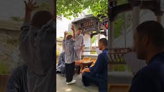 【少林功夫】三宝不想练功了 | Shaolin kungfu | Chinese Kung Fu #shorts