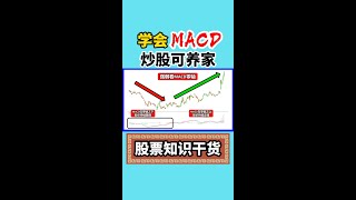 1分钟学会MACD4大绝招，炒股养家不是梦！#shorts #MACD #股票买卖