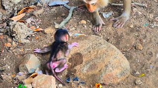 Poor tiny baby is left by mother on the big ROCK