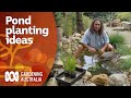 How to add aquatic plants to your pond | Garden Design and Inspiration | Gardening Australia