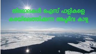 റഷ്യയിലെ അതിശൈത്യ ത്തിൽ കടലിലെ ഉപരിതലം ഐസ് രൂപം പ്രാപിച്ച ദൃശ്യം. കടലലിലെ തിരമാലകൾ  ഐസ്‌പാളികളെ കരയി