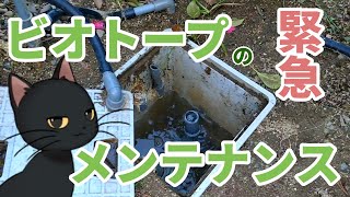 【庭池と小川をDIY】ビオトープを作る。Season2  -番外編- 〜緊急メンテナンス〜