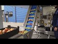 Mobile Fruit Processing Line | 1500 kg/h Juice Production |  ProFruit Machinery