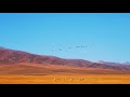 航拍赛里木湖 aerial shot of lake sayram