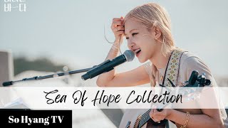 [Playlist] Rosé (로제) - Sea Of Hope Collection (바라던 바다 모음)