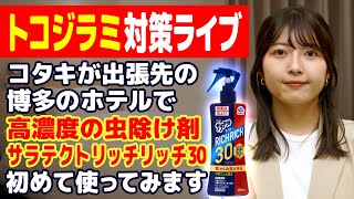 【宿泊先でトコジラミ調査】害虫駆除のプロから教えてもらった対策法をコタキが出張先ホテルで実践！＜終わった後は雑談会があるよ＞