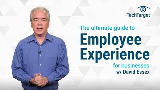 Ultimate Guide to Employee Experience (EX) for Businesses