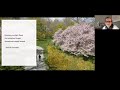 haiku and you painting edo and the arnold arboretum