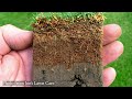 everything to know about scarifying removing thatch from a lawn lawn renovation series