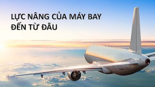 Máy bay bay lên như thế nào Nguyên lý của lực nâng