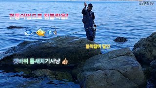 참볼락이 🐟 🐠 바위틈새에서 튀어나와서 고수한테 한방에 🎣 🎣