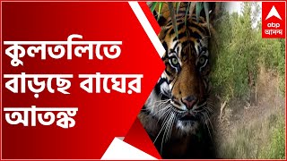 ৩ দিন পরেও কুলতলিতে বাড়ছে বাঘের আতঙ্ক, খাঁচা পেতে ও ছাগলের টোপ দিয়ে বাঘ ধরার চেষ্টায় বন দফতর।