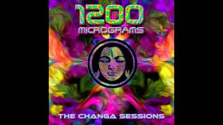 1200 Micrograms - Changa (Flute Intro)