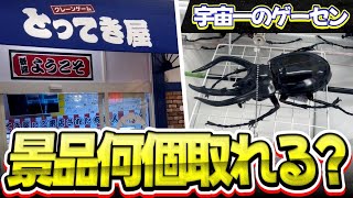 【448台】宇宙一のとってき屋で一万円使ったらプロは何個取れる?