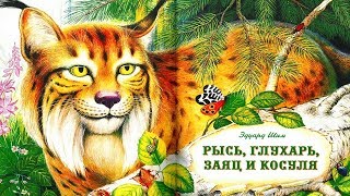 РЫСЬ ГЛУХАРЬ ЗАЯЦ И КОСУЛЯ|Эдуард Шим|аудио сказка| Аудиосказки|Сказки на ночь|Слушать сказки онлайн