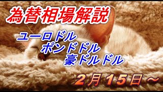 【FX】ユーロドル、ポンドドル、豪ドルドルの為替相場の予想と前日の動きをチャートから解説。2月15日～