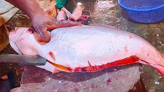 Amazing Live PANGASIUS CATFISH Skinning \u0026 Cutting By Expert Cutter | Fish Cutting Skills