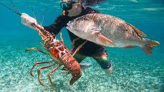 SPEARFISHING The Shallow Waters Of the Caribbean (Saint Barth)