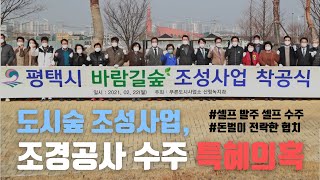 [ICBM 인사이트 K] 도시숲 조성사업, 조경공사 수주 특혜의혹