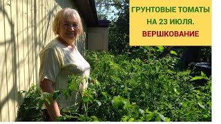 ГРУНТОВЫЕ ТОМАТЫ НА 23 ИЮЛЯ. ВЕРШКОВАНИЕ