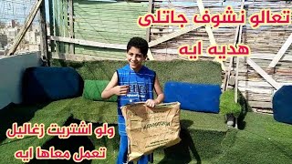 تعالو نشوف جالى ايه هديه 🎁 ولو أشتريت زغاليل تعمل معاها ايه