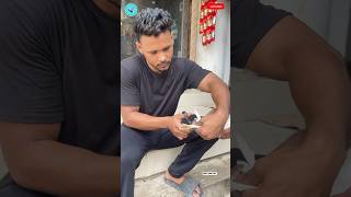 Pigeon lover || kabutar ka hair cut #shorts #pigeon #pigeonlover #kabutar #kabutarbazi #Kabootar