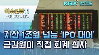 자산 1조원 넘는 'IPO 대어' 금감원이 직접 회계 심사 / 머니투데이방송 (뉴스)