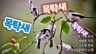 목탁새-정다운스님 작사-박범훈 작곡-강주현 편곡-바라밀합창단 노래