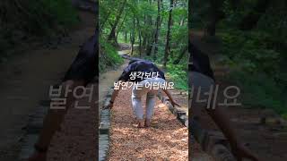 천생산에서 발연기를 해보았습니다 #shorts