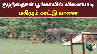 சரணாலயத்திலிருந்து வெளியேறி குழந்தைகள் பூங்காவில் விளையாடிய யானை