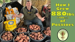 Growing Potatoes for Self Sufficiency | No Dig Gardening | Self Sufficiency | Smallholding UK