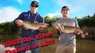 HUGE AZ Catfish!!!!